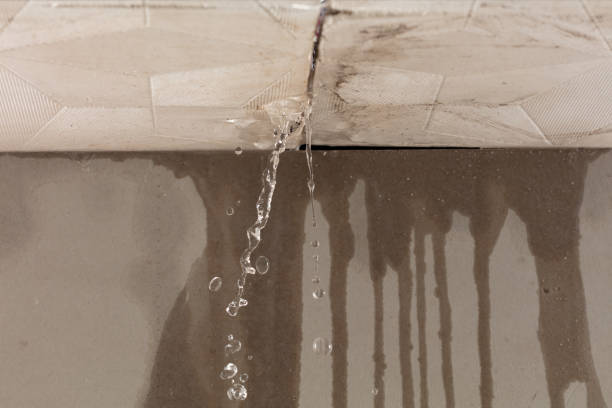 Professional Burst Pipe Cleanup technician working in Kiester, MN